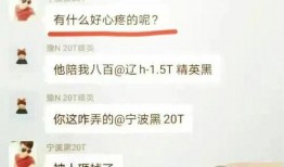 宁波车友群爆料最新消息,揭秘神秘汽车事件！